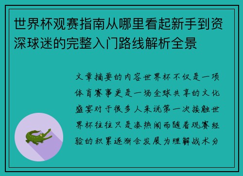 世界杯观赛指南从哪里看起新手到资深球迷的完整入门路线解析全景